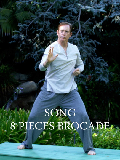 8 Pieces Brocade - Qigong Poster