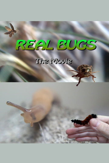 Real Bugs The Movie