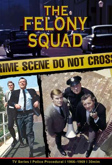 Felony Squad Poster