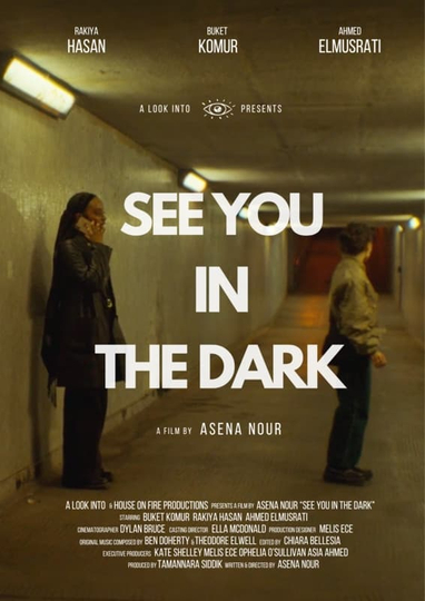 See You In The Dark Poster