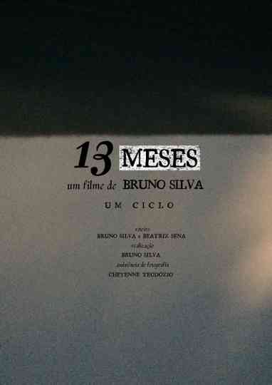 13 MESES