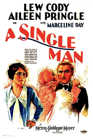 A Single Man Poster