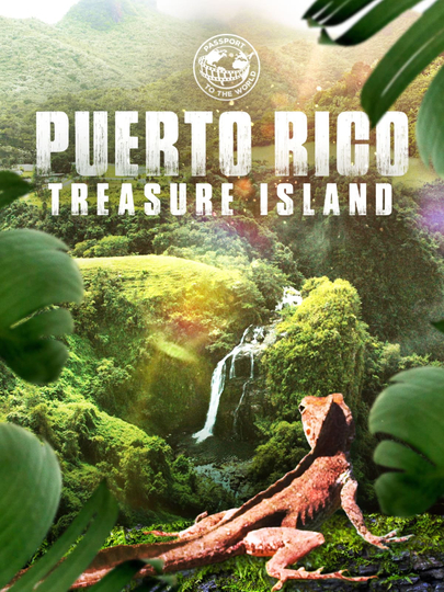 Passport To The World: Puerto Rico Poster