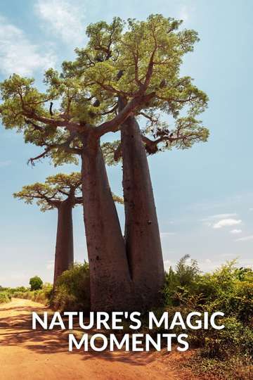 Nature's Magic Moments Poster