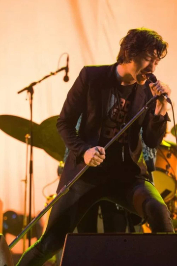 The Last Shadow Puppets Live At Rock En Seine 2016