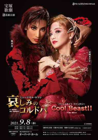 Sorrowful Córdoba / Cool Beast!! Poster