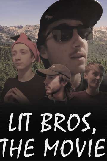 Theyre Lit But Are They Bros Poster