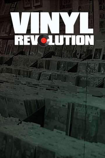 Vinyl Revolution Poster