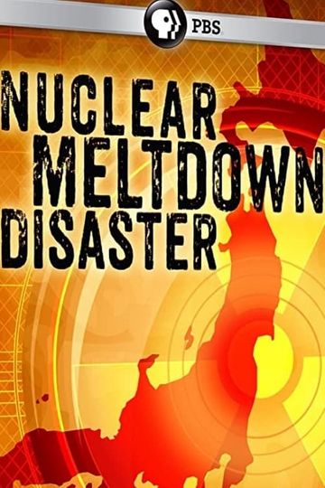 Nuclear Meltdown Disaster