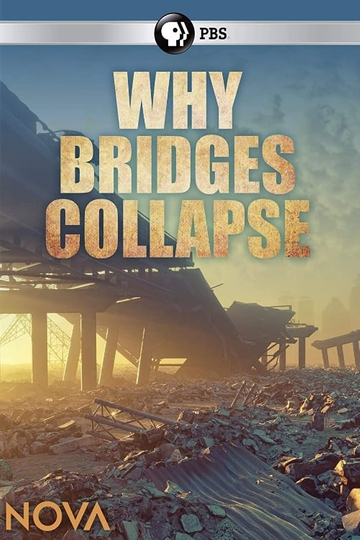 Why Bridges Collapse