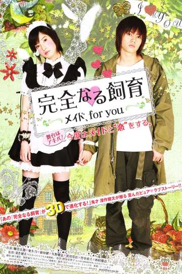 Perfect Education: A Maid for You Poster