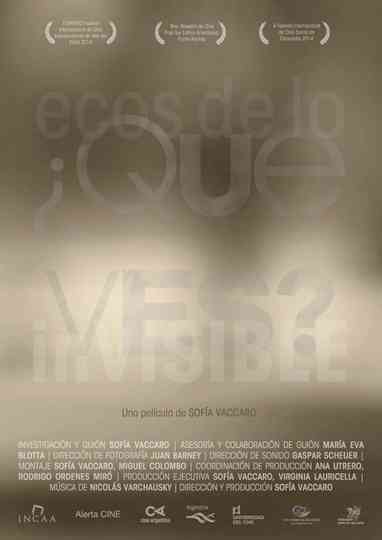 ¿Qué ves? Ecos de lo invisible Poster