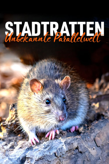 Stadtratten  Unbekannte Parallelwelt Poster