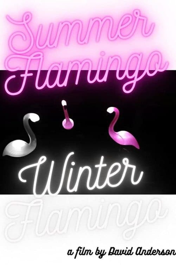 Summer Flamingo Winter Flamingo