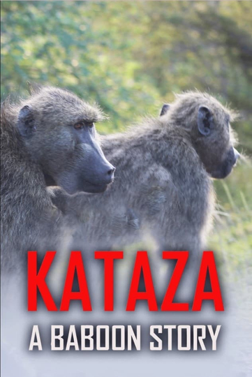 Kataza a Baboon Story Poster