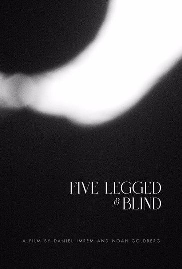 Five Legged & Blind Poster