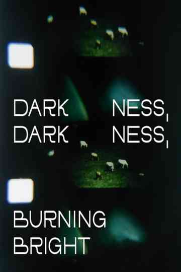 Darkness, Darkness, Burning Bright