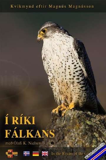 In the Realm of the Gyr Falcon Poster