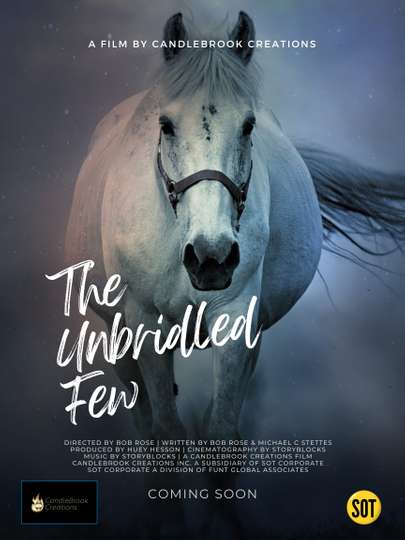 The Unbridled Few Poster