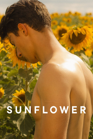 Sunflower Poster