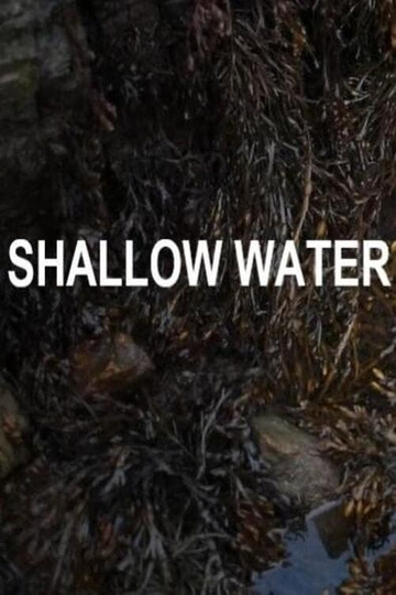 Shallow Water Poster