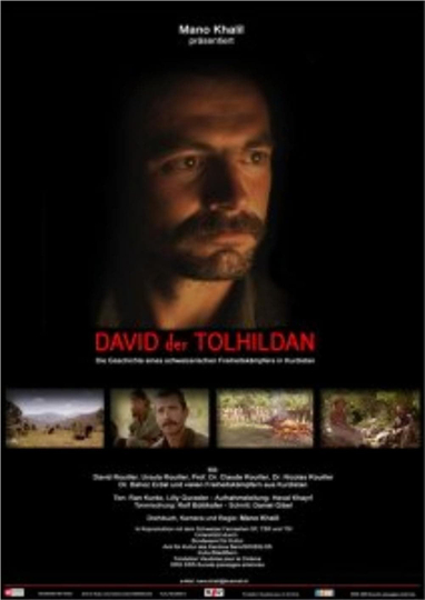 David the Tolhildan