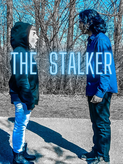 The Stalker Poster