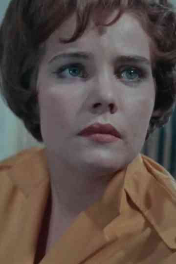 Hills Like White Elephants Poster