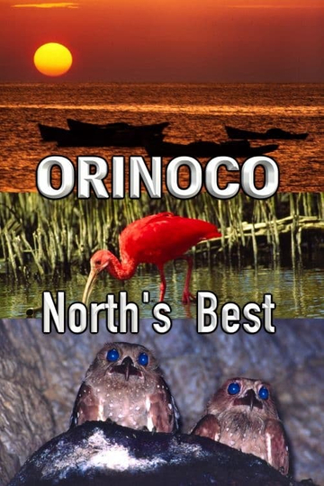 Orinoco, North’s Best