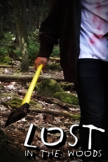 Lost In The Woods Poster