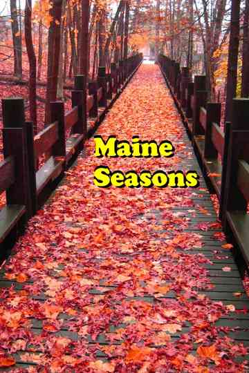 Maine Seasons Poster