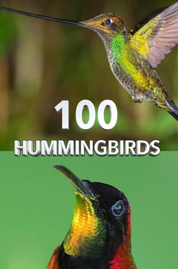 100 Hummingbirds