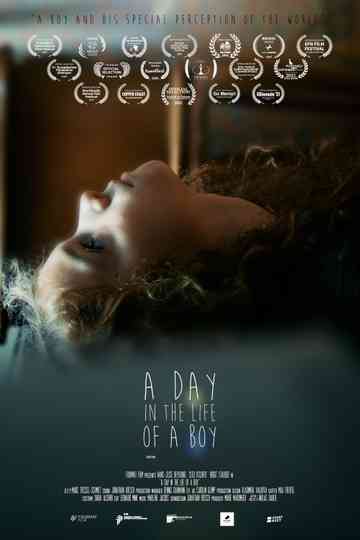 A Day in the Life of a Boy