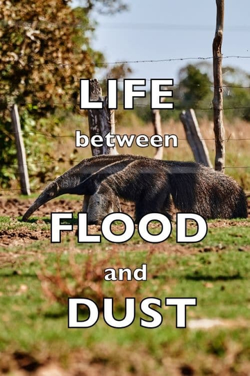 Life between Flood and Dust