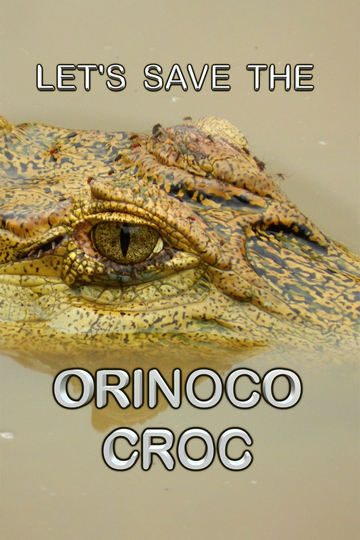 Let’s Save the Orinoco Croc