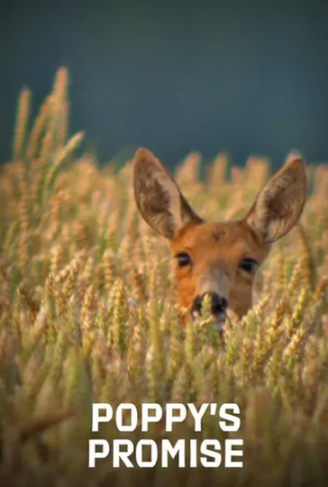 Poppy's Promise: Secret Life in a Cornfield