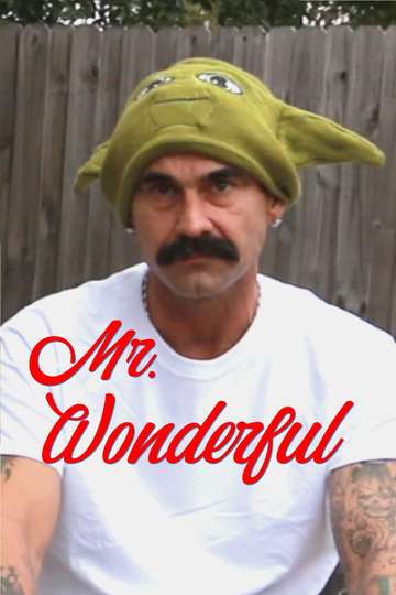 Mr. Wonderful Poster