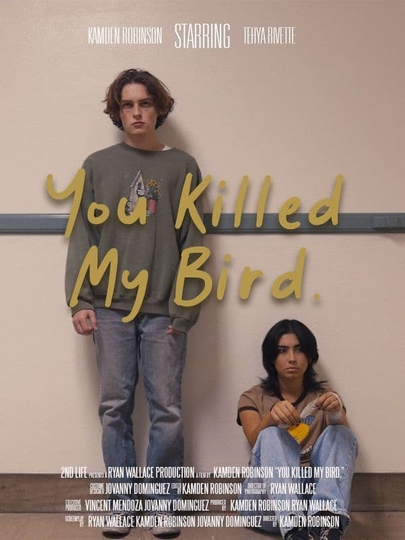 You Killed My Bird Poster