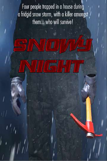 Snowy Night Poster