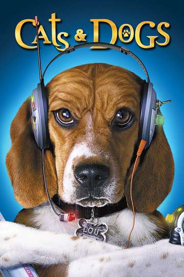 Film Fixation - Talking Animals - Cats and Dogs | Moviefone