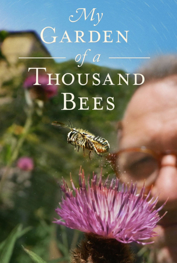 My Garden of a Thousand Bees Poster