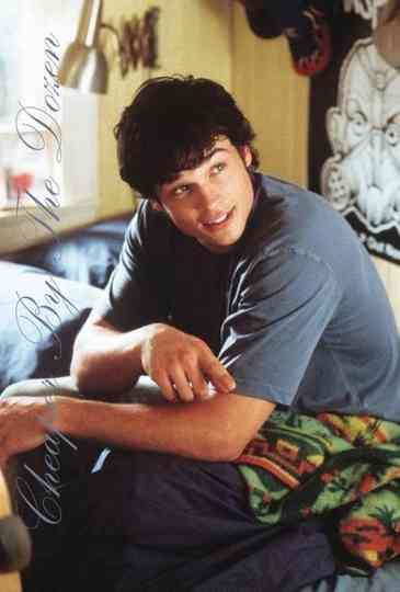 Cheaper by the Dozen poster