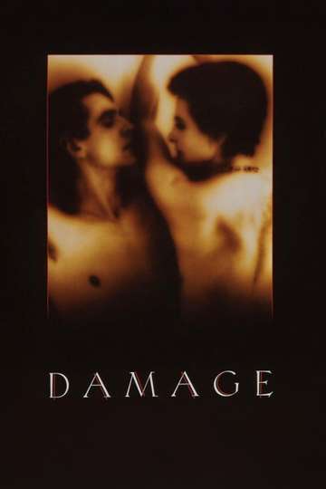 Damage Poster