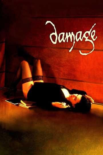 Damage Poster