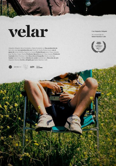 Velar Poster