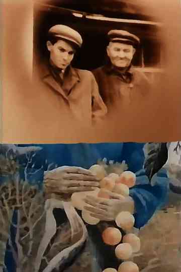 In the White Cold, the Sun of Ukraine poster