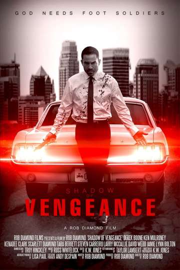 Shadow of Vengeance Poster