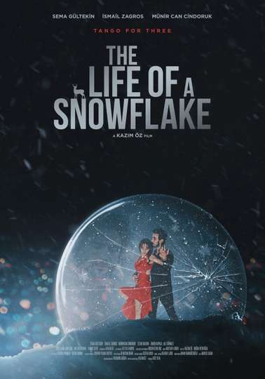 The Life of a Snowflake Poster