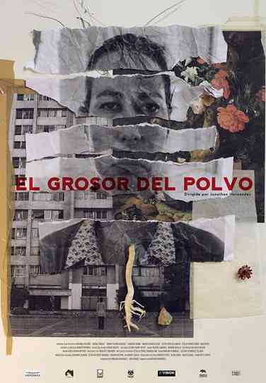 El Grosor del Polvo