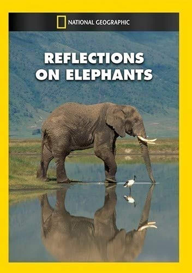 Reflections on Elephants